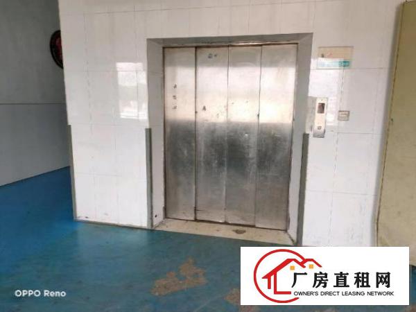  坑梓老坑重工业厂房1200平米低价出租