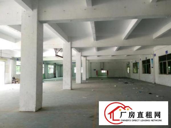  坑梓大型园区一楼整层厂房1300平米