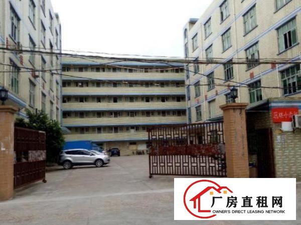  坑梓大型园区一楼整层厂房1300平米