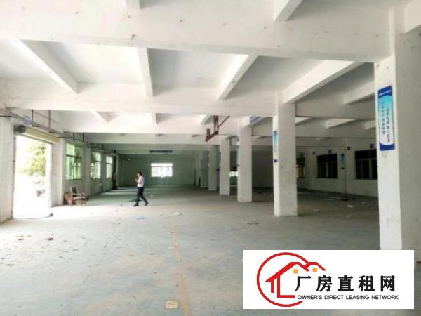  坑梓大型园区一楼整层厂房1300平米