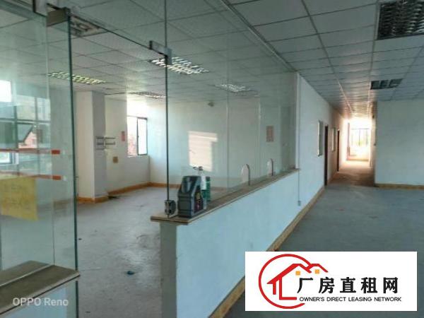  坑梓比亚迪旁楼上厂房整层580平米带装修