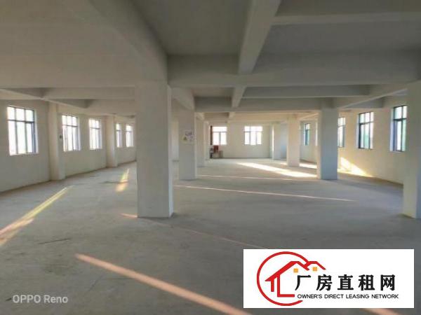  坑梓比亚迪旁楼上厂房整层580平米带装修