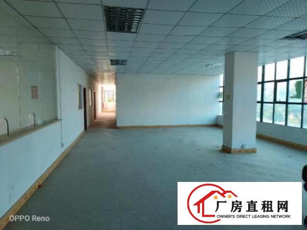  坑梓比亚迪旁楼上厂房整层580平米带装修