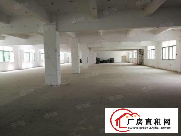  坑梓同富裕第二工业区红本独栋1000平米出租大小可分租无公摊