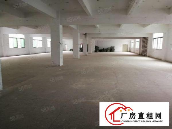  坑梓同富裕第二工业区红本独栋1000平米出租大小可分租无公摊