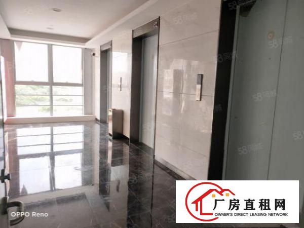  坑梓比亚迪旁全新红本写字楼研发办公厂房大小面积分租