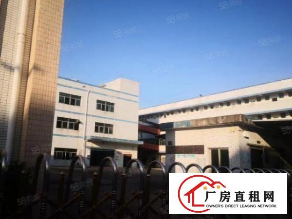  坑梓厂房，物业直租，独门独院空地大使用率高