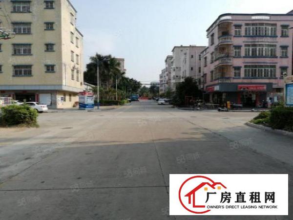  业主直租可议价坑梓厂房空地大使用率高