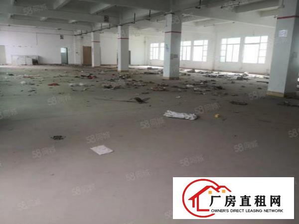  坑梓厂房空地大使用率高业主直租可议价