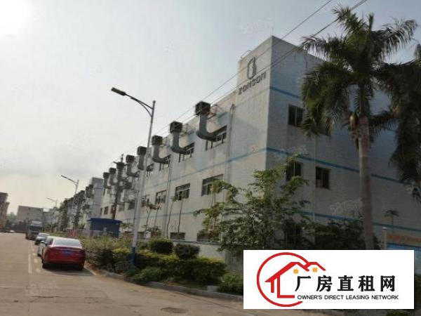  坑梓厂房空地大使用率高业主直租可议价