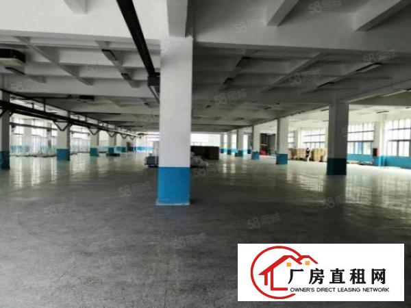  坪山坑梓新出原房东一楼800平方厂房出租，带办公室