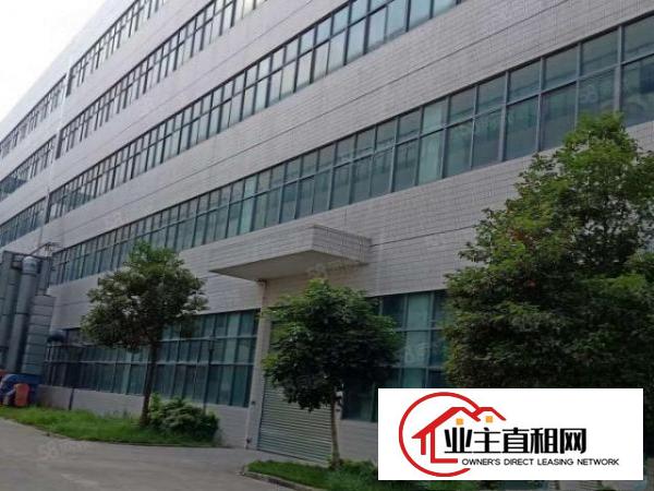  红本独栋厂房19800平形象出租实际面积出租可申请补贴