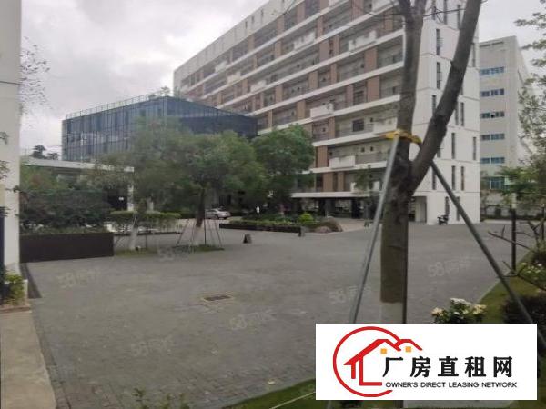  坪山红本高新产业园原房东三楼900平厂房出租！可申请补贴