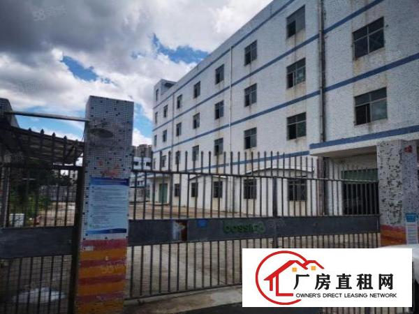  坑梓金沙村委独院厂房出租5440平米可以分层租空地3千免费用