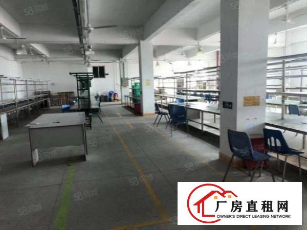  坑梓金沙村委独院厂房出租5440平米可以分层租空地3千免费用