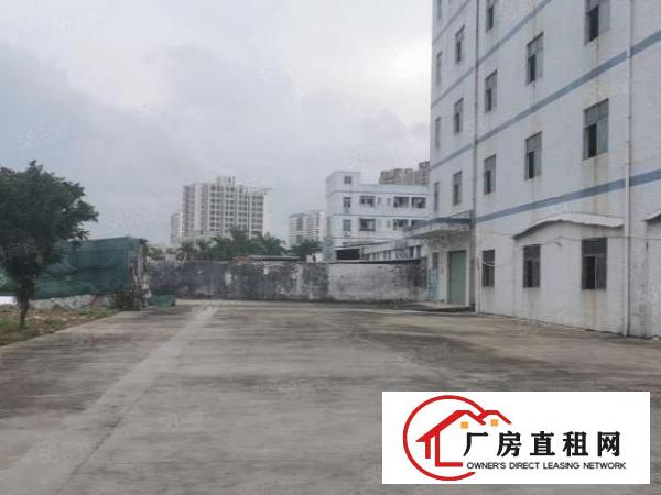  坑梓金沙村委独院厂房出租5440平米可以分层租空地3千免费用