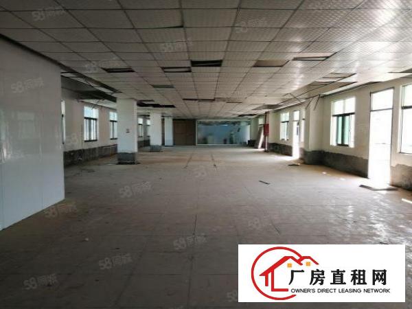  坪山碧岭原房东高速出口带卸货平台无公摊厂房招租