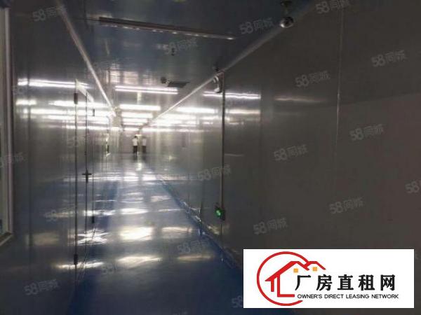  坪山生物产业园带装修10万级无尘车间1300平方整层出租