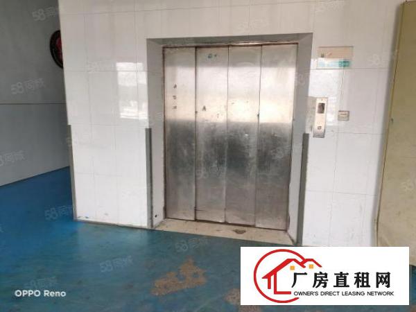  坑梓老坑工业区重工业厂房五楼1200平方招租