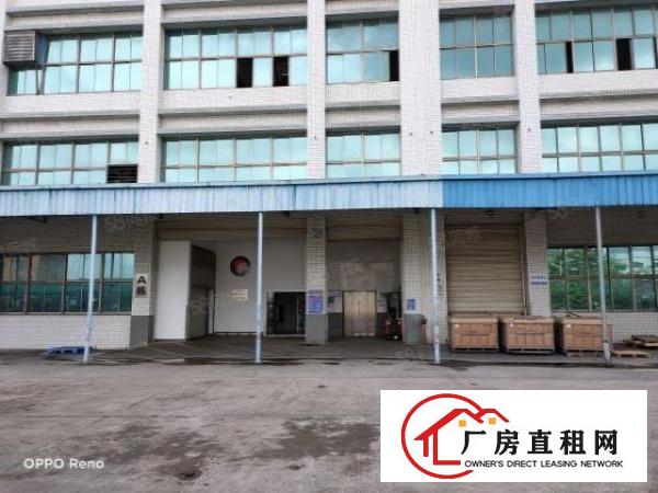  坑梓老坑工业区重工业厂房五楼1200平方招租