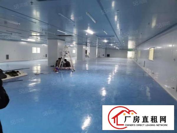  坪山坑梓全新装修10万级无尘车间不需要转让费实地拍摄