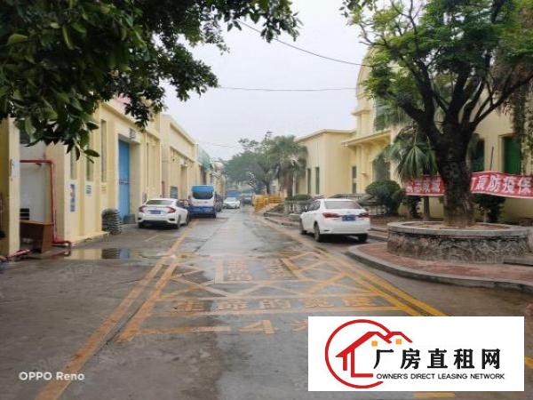  坑梓中心秀新社区独栋钢构厂房980平方出租