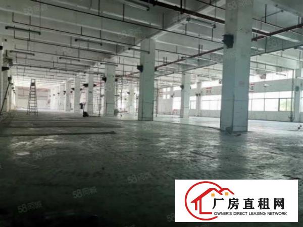  深圳市坪山区8200平米一楼厂房出租，层高6米，可分租
