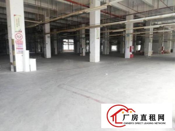  深圳市坪山区8200平米一楼厂房出租，层高6米，可分租