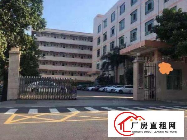  坪山坑梓比亚迪旁楼上2楼260平米厂房出租