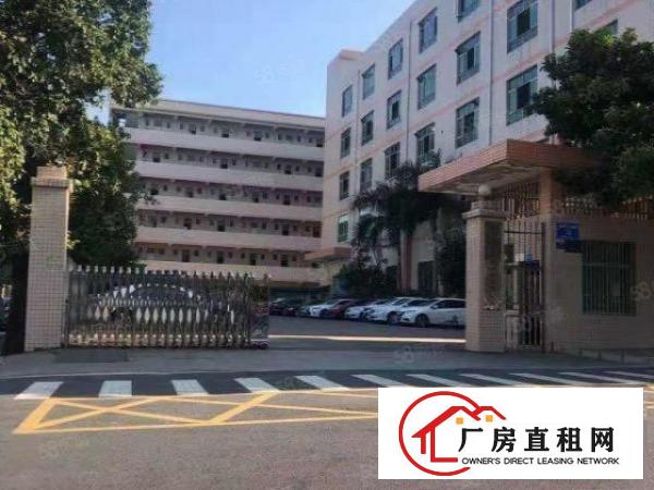  坪山坑梓比亚迪旁楼上2楼260平米厂房出租