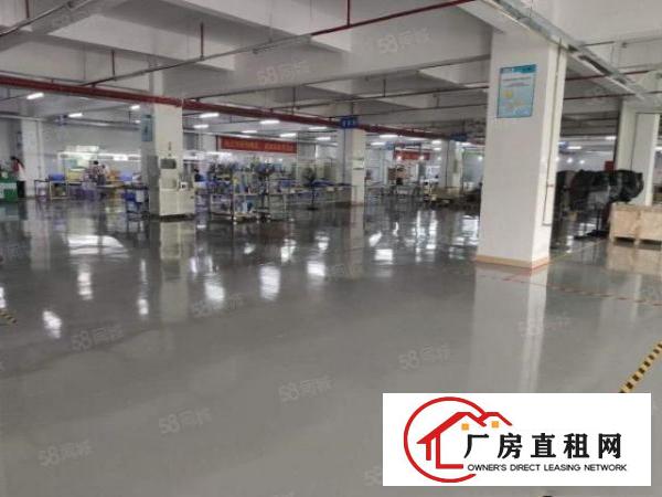  坪山大工业区新出原房东楼上1580平方电商办公仓库