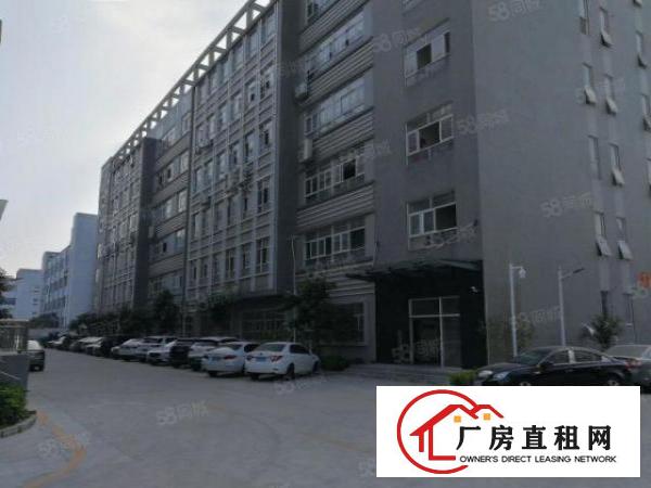  坪山大工业区新出原房东楼上1580平方电商办公仓库