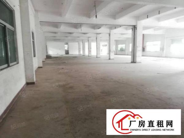  灵活出租，10年合同，坑梓32000平米厂房出租，一楼高6米