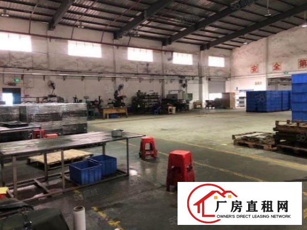  坪山坑梓龙田社区独栋钢构3100平价格25元