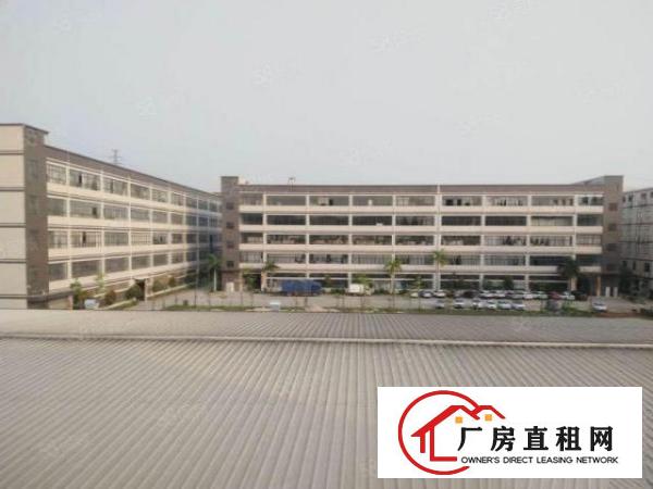 坪山坑梓新出二楼带精装修办公室200平出租有电梯可注册公司