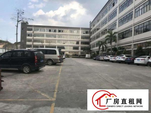  坪山坑梓新出二楼带精装修办公室200平出租有电梯可注册公司