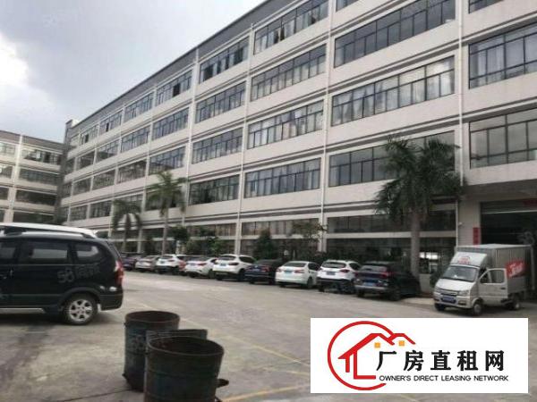  坪山坑梓新出二楼带精装修办公室200平出租有电梯可注册公司