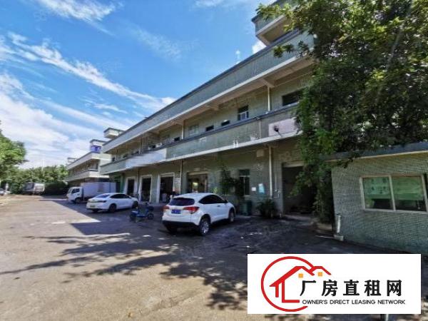  坪山坑梓秀新工业区新出单一层600平厂房，大小分租，有红本