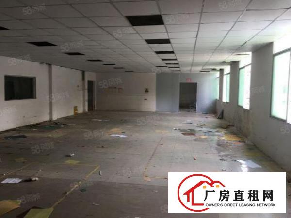 坪山马峦街道新出带装修楼上600平2吨电梯有吊机口
