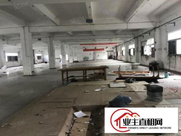  坑梓新出独栋标准厂房一楼1300二楼500.300平出租，