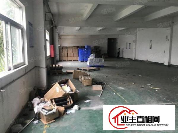  坑梓新出独栋标准厂房一楼1300二楼500.300平出租，