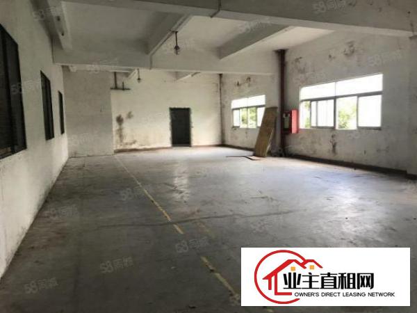  坑梓新出独栋标准厂房一楼1300二楼500.300平出租，