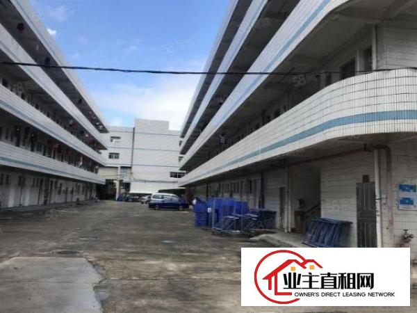  坑梓新出独栋标准厂房一楼1300二楼500.300平出租，