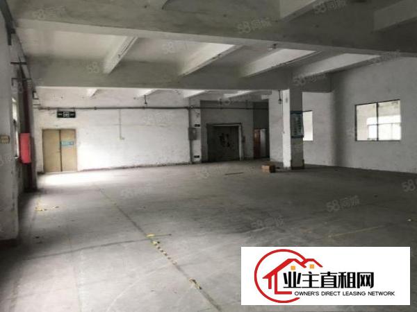  坑梓新出独栋标准厂房一楼1300二楼500.300平出租，
