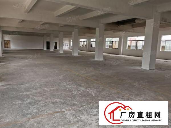  坪山坑梓新出4700平小独院，空地超大，交通便利，大小分租
