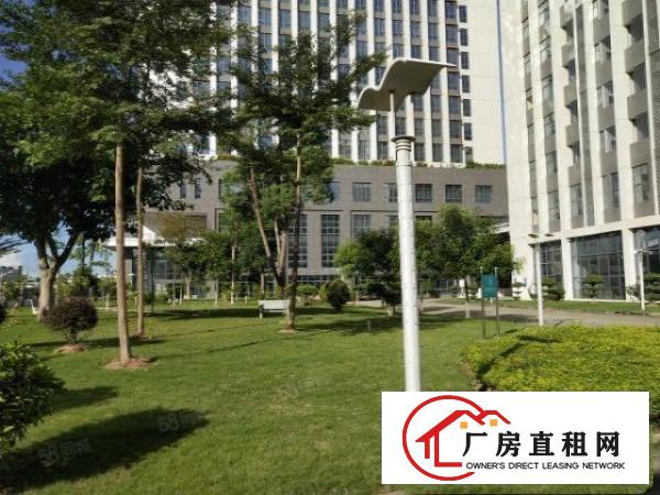  深圳市坪山区大工业原房东红本厂房单层出租面积1200平带装修