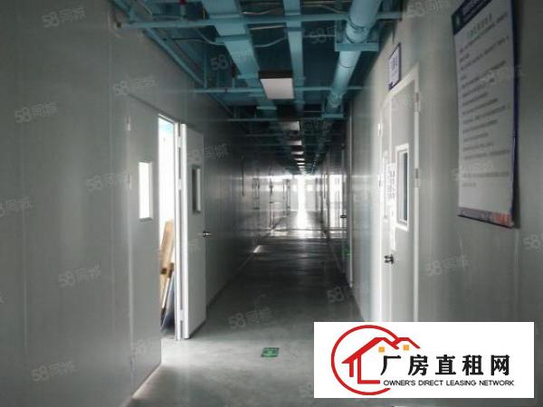  深圳市坪山区大工业原房东红本厂房单层出租面积1200平带装修