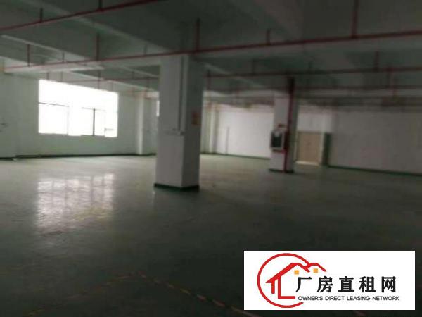  布龙路边新出一楼280平330平500平仓库招租