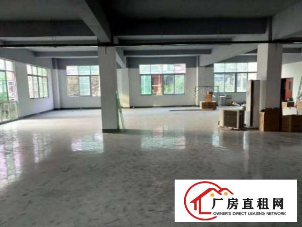  布龙路边新出一楼280平330平500平仓库招租