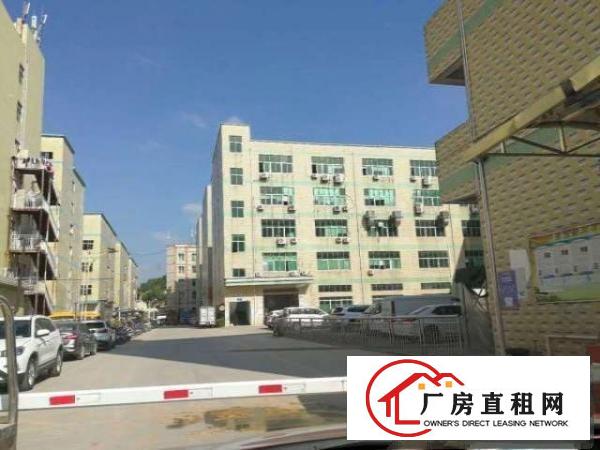  布龙路边新出一楼280平330平500平仓库招租